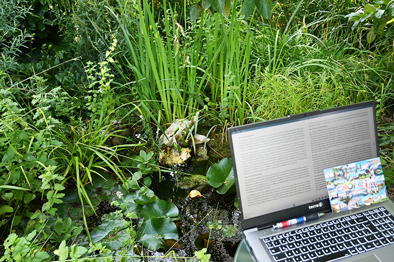 Laptop auf einem Tisch, links und im Hintergrund ist eine grüne Oase