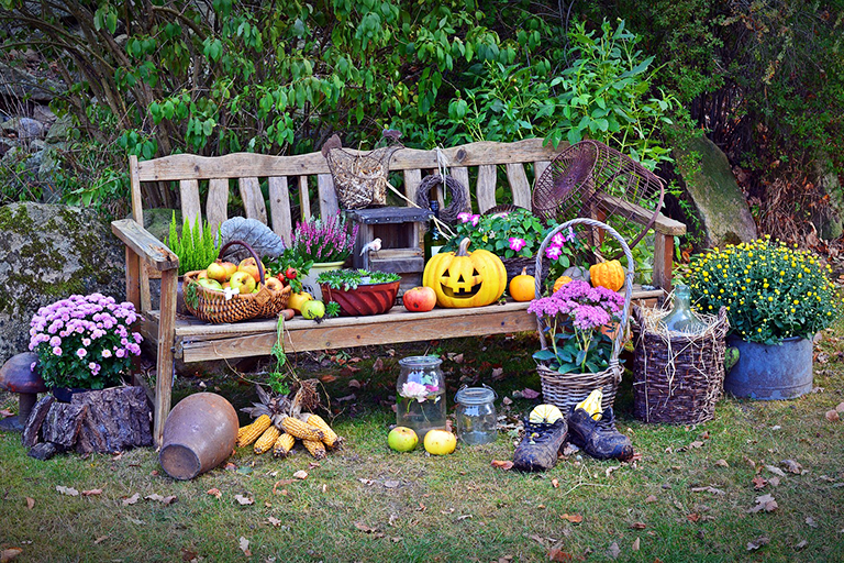 Holzbank im herbstlichen Garten mit Äpfeln, Kürbissen, Blumen und Pflanzen