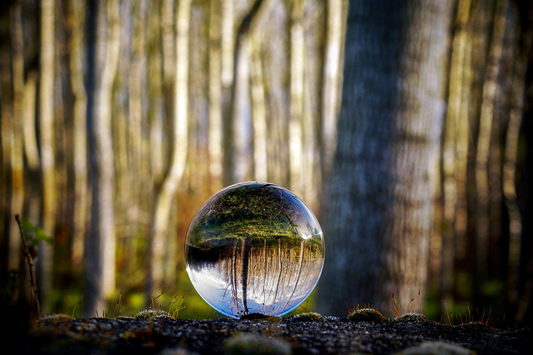 In einem Wald liegt eine Glaskugel, in der sich die Bäume spiegeln